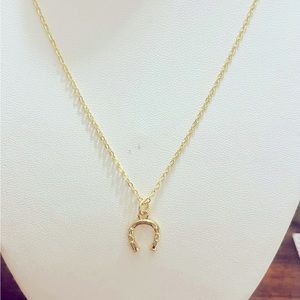 Gold filled 20" necklace with a horseshoe charm..